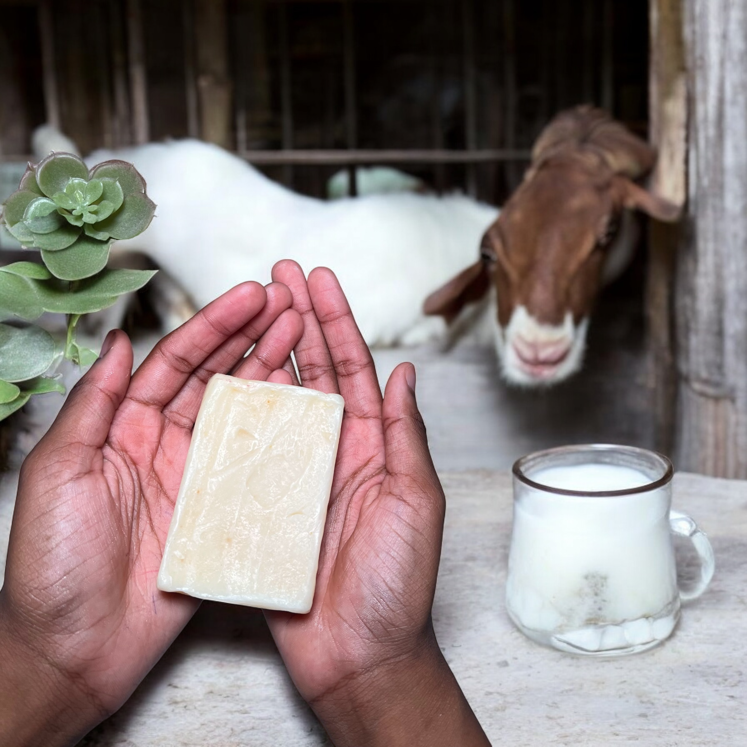 Handcrafted Bar Soaps