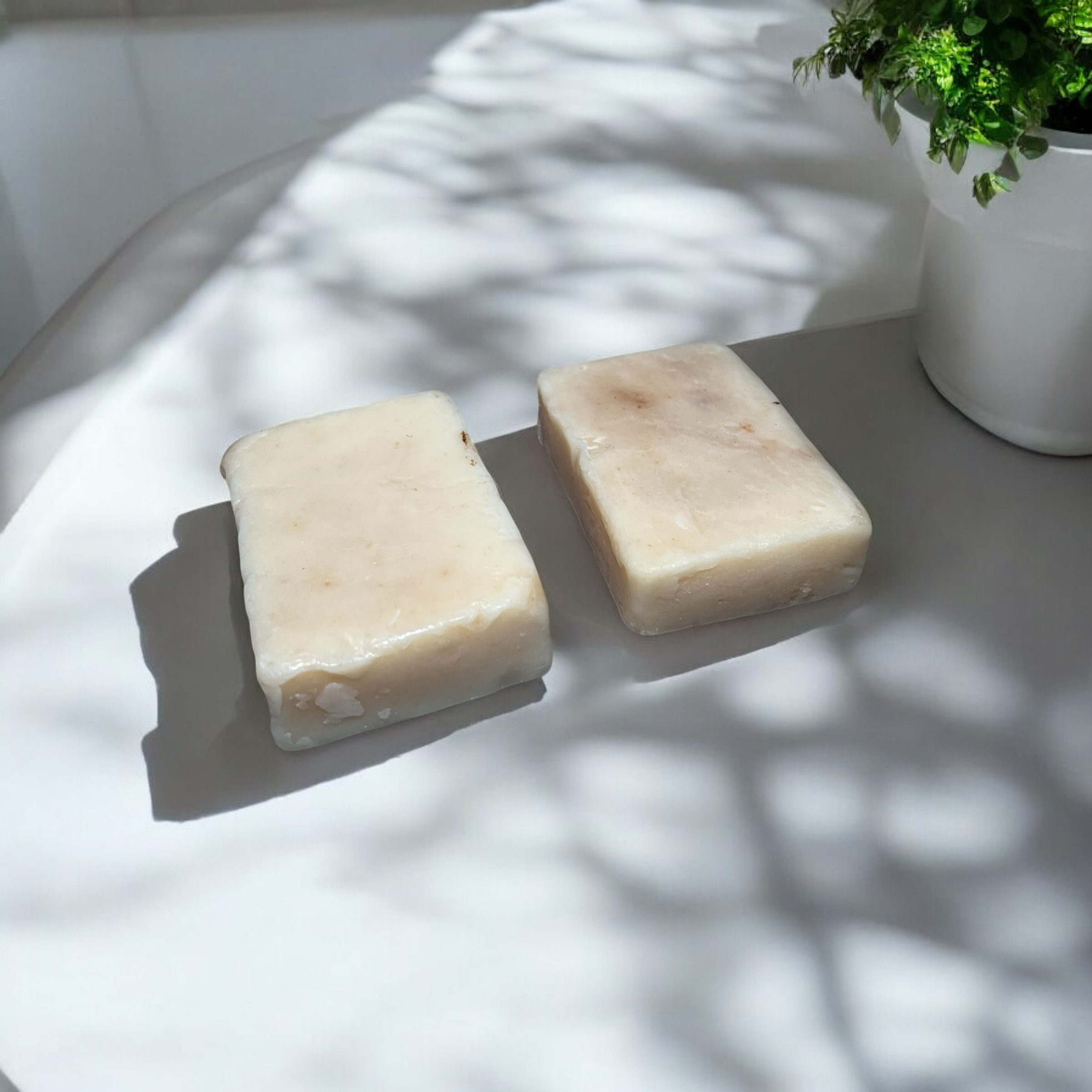 Two goat milk bar soaps next to each others 